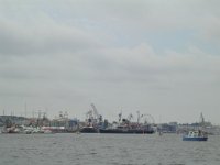 Hanse sail 2010.SANY3718